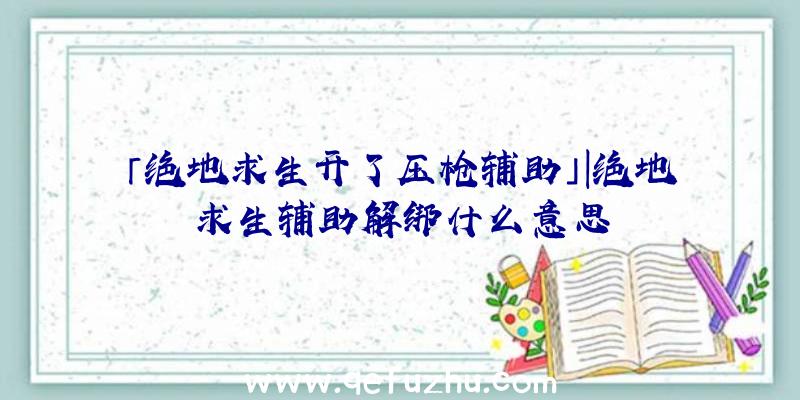 「绝地求生开了压枪辅助」|绝地求生辅助解绑什么意思